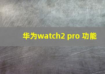 华为watch2 pro 功能